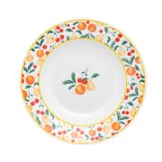 Тарелка суповая FLAMINGO FRUITS 23,5см Oxford 90520, SB02-9410